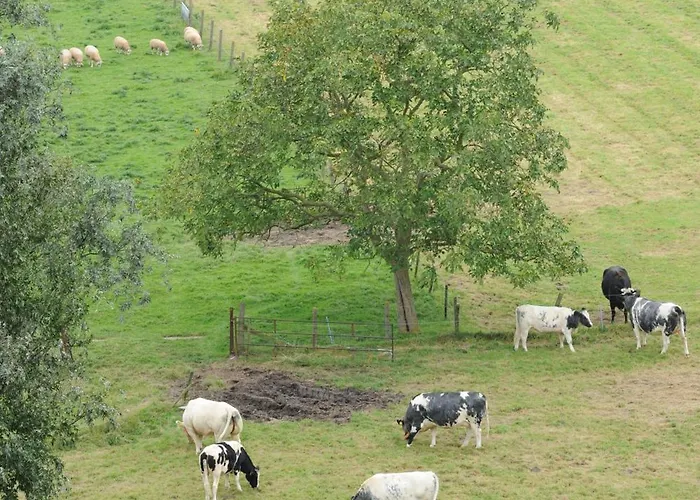 Han/Misafirhane De Watertoren 3*