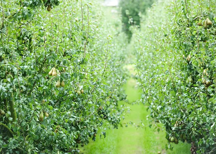 Estalagem De Watertoren Dordrecht